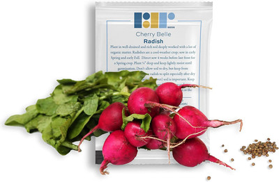 CYBEXIS LX-47 - Cherry Belle Radish - (2250 Seeds) Seed(2250 per packet)