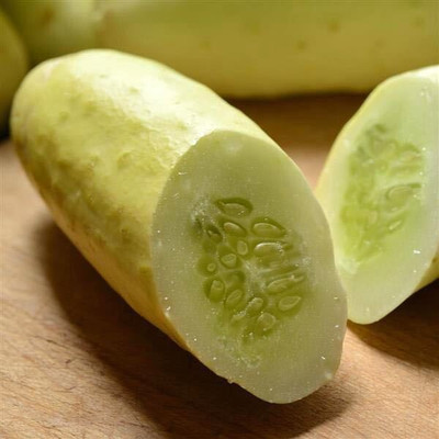 Avysa English Cucumber Seeds-CuC_265 Seed(50 per packet)