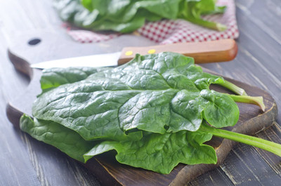 CYBEXIS XLR-40 - Winter Spinach Giant - (2250 Seeds) Seed(2250 per packet)
