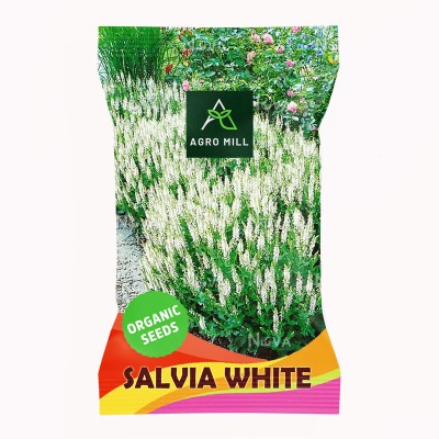 AGRO MILL SALVIA/DIVINER'S SAGE/LADY SALVIA/MAGIC MINT WHITE FLOWER Seed(50 per packet)