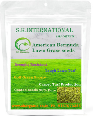 SK ORGANIC American Bermuda lawn Grass Seeds Imported Fast Germination Seed(200 g)