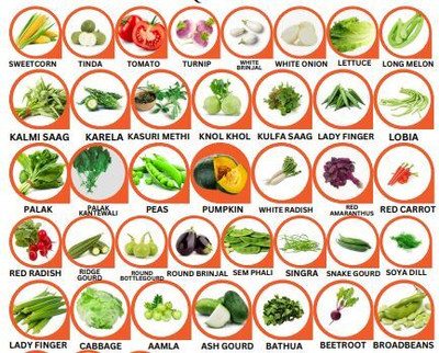 Hothanger Vegetable Seed - Long Bottlegouard, Long Purple, Broccoli, Broadbeans, BeetRoot, Seed(100 per packet)