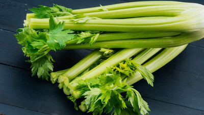Qualtivate VVI-156 Green Leaf Stalk Celery Celeriac Seed(500 per packet)