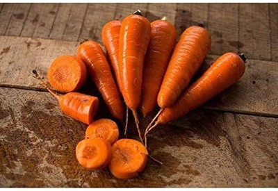 Qualtivate PUA-1A Red Cored Chantenay Carrot Seeds Seed(300 per packet)
