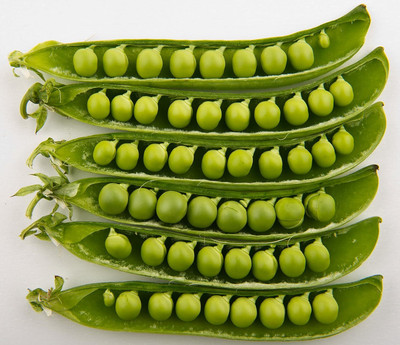 CRGO PEA , MATAR Seed(200 per packet)