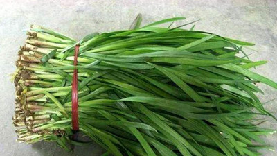 KNESSiN Chinese Root Chive Leak Seed(200 per packet)