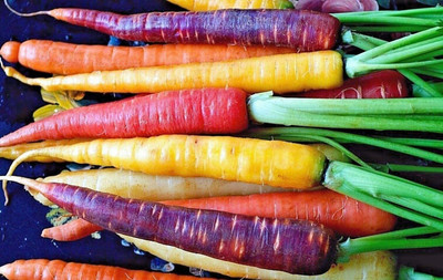CYBEXIS Hybrid Rainbow Carrot Seeds1000 Seeds Seed(1000 per packet)