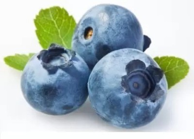 Aro Blueberry, Blueberries Seed(30 per packet)