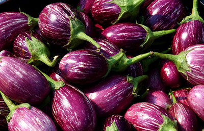 VibeX GBPUT-95 - Brinjal (Eggplant/Vangi) -Puneri Kateri - (150 Seeds) Seed(150 per packet)