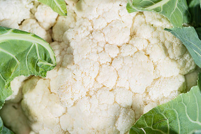 LASMA white cauliflower,gobhee seeds Seed(13 per packet)