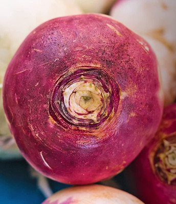 Biosnyg Turnip Purple White Top Globe Seed(250 per packet)