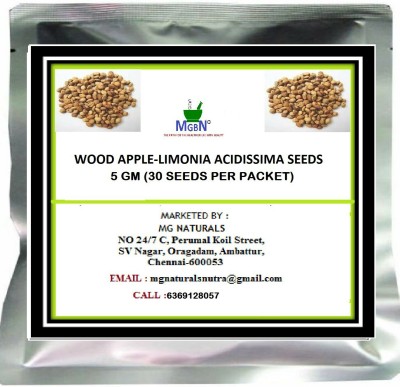 MGBN WOOD APPLE-LIMONIA ACIDISSIMA SEEDS 5 GM Seed(30 per packet)