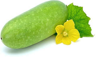 Cloud Farm All Season Vegetable Seed/Ash gourd seed 18 Seed(18 per packet)
