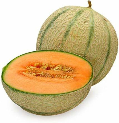 Aywal Sugar Cube Musk Melon Seed(1000 per packet)