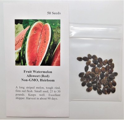 CYBEXIS GUA-66 - Watermelon Allsweet (Red) - (150 Seeds) Seed(150 per packet)