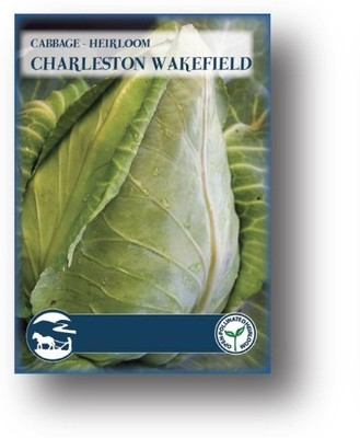 Biosnyg Charlston Wakefield Cabbage-[250 Seeds] Seed(250 per packet)