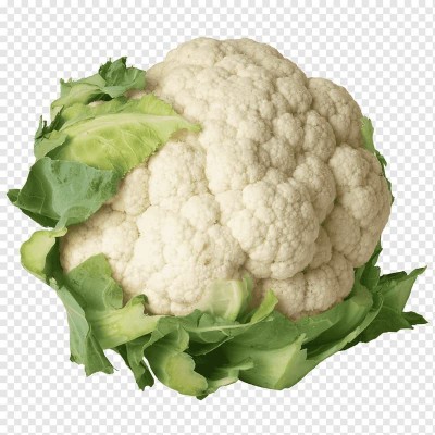 CYBEXIS XLR-6 - Cauliflower Variety Early - (150 Seeds) Seed(150 per packet)