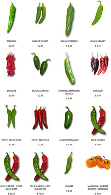 JVK fresh green chilly vegetable hybrid seeds 1-packet Seed(100 per packet)