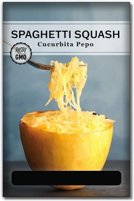 Biosnyg HUA-12 Spaghetti Squash Seed-[400 Seeds] Seed(400 per packet)