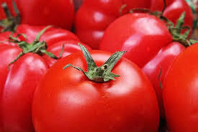 XOLDAA kashmiri hybrid tomato seeds Seed(110 per packet)