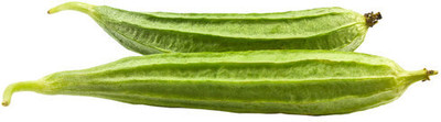 XOLDAA FI QUALITY RIDGE GOURD Seed(10 per packet)