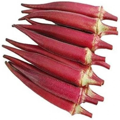 Cloud Farm hybrid red lady finger seeds/ladies finger seeds 41 Seed(41 per packet)