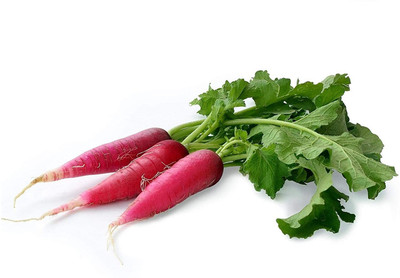 WILLVINE Radish Red Long Vegetable Seeds-[400 Seeds] Seed(400 per packet)