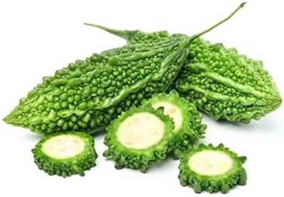 AloGardening Hybrid Bitter Gourd (Karela) F1 Hybrid Seeds Seed(30 per packet)