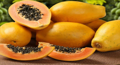 Farmonix Hybrid papaya seed Seed(100 per packet)