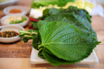 Qualtivate VXI-5 Shiso Perilla Seeds Seed(300 per packet)