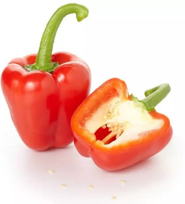Quentova Capsicum Red Bell Pepper-5L-CTU Seed(50 per packet)