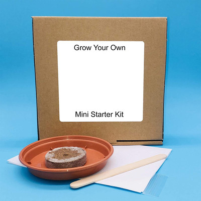 CRGO GERMINATION KIT Seed(39 per packet)