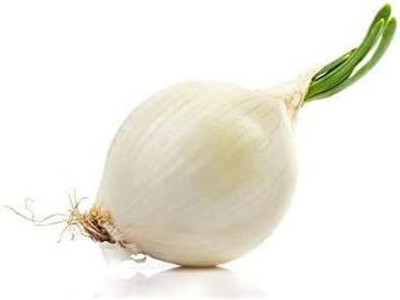 CYBEXIS XLR-74 - Crystal White Wax Onion - (4500 Seeds) Seed(4500 per packet)