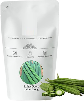 VibeX ® XLR-348 Luffa Acutangula Seeds Angled Ridge Gourd Turai Seed(50 per packet)