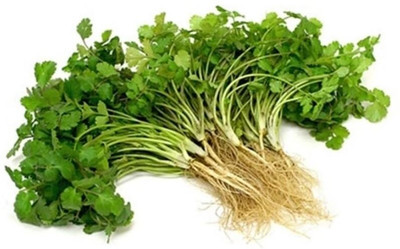 Aywal Duck-Tongue Mexican Coriander Seed(125 per packet)