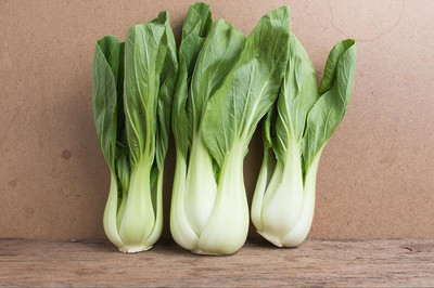 WILLVINE MEH -VII Bok Choy or Chinese Cabbage [25g] Seed(7500 per packet)