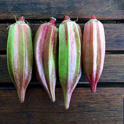 Qualtivate PUA-3A Double Color Okra Seeds Seed(350 per packet)