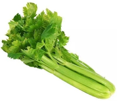 ENTENT Organic Green Celery Vegetable Seed(150 per packet)