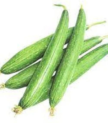 Aywal Sponge gourd (courge torchon) Seed(10 per packet)