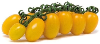 VRAKSHA Tomato Seed(500 per packet)