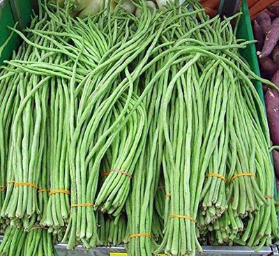 CYBEXIS Long Snake Bean Vegetable Seed-100 Seeds Seed(100 per packet)