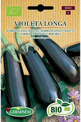 KNESSiN Brinjal Violet Long Eggplant Seed(1250 per packet)