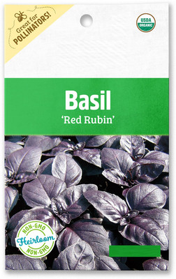 Qualtivate NBIR-73 Red Rubin Basil Seeds Seed(1000 per packet)