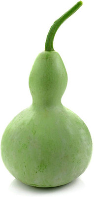 CYBEXIS VXI-87 - Ornamental Birdhouse Bottle Gourd - (100 Seeds) Seed(100 per packet)