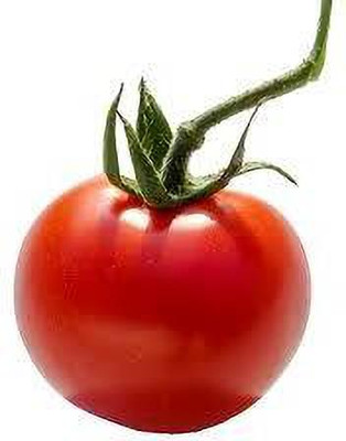 XOLDAA hybrid f1 quality tomato seeds Seed(50 per packet)