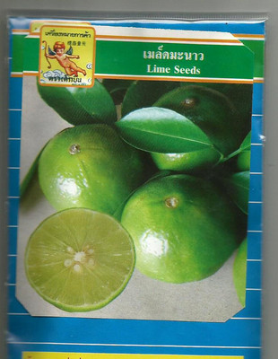 CRGO ® XII-950 Lime Seeds Lemon Seeds Citrus Thai Tropical Key Lime Seeds Seed(20 per packet)