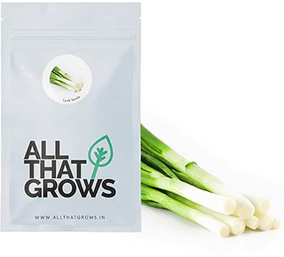 WILLVINE SYN -XVI Leek/Green Onion Seeds [2.5g] Seed(1500 per packet)