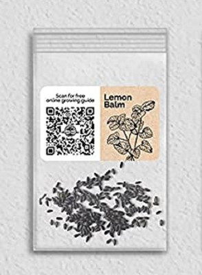 WILLVINE Non-GMO F1 HybridLemon Balm-5000 Seeds Seed(5000 per packet)