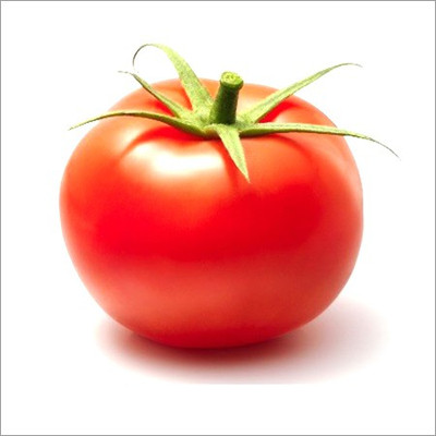 CYBEXIS Apurva Hybrid Tomato1000 Seeds Seed(1000 per packet)