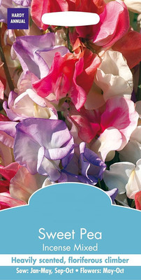 CYBEXIS Flower - Sweet Pea - Incense Mixed Seed(1 g)